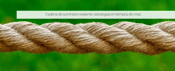 Cadena de suministro resiliente: estrategias en tiempos de crisis